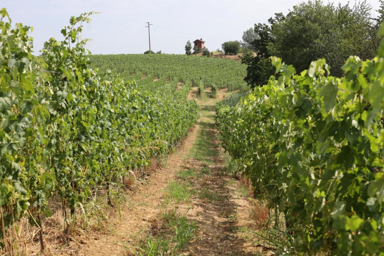 Braida Wine Resort Rocchetta Tanaro Kültér fotó