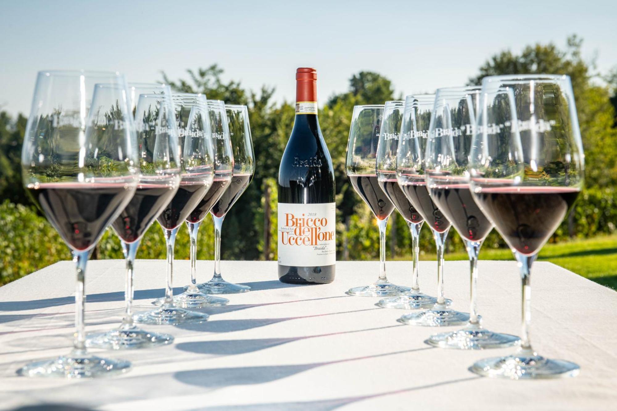 Braida Wine Resort Rocchetta Tanaro Kültér fotó